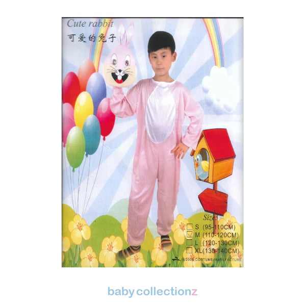 Fancy Dresses & Mask (Copy)