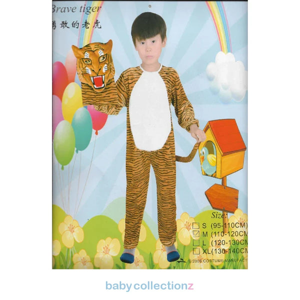 Fancy Dresses & Mask (Copy)