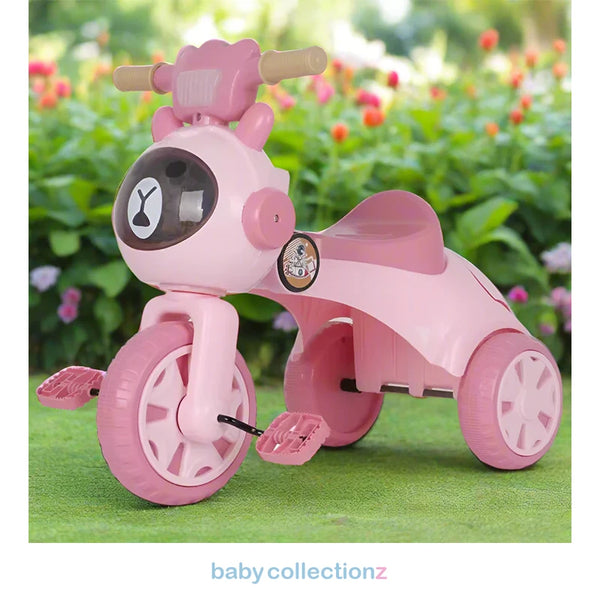 Stylish Tricycle For Kids