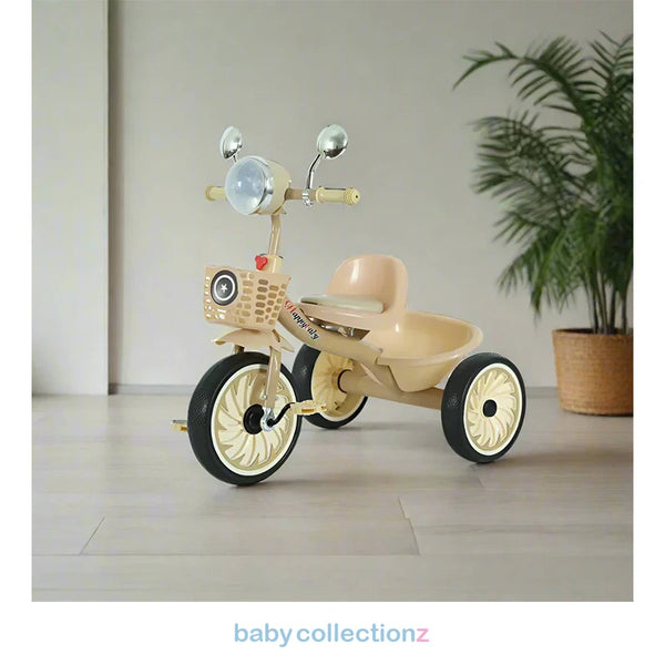 Stylish Kids Tricycle With Storage Basket