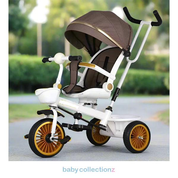 2 In 1 Premium Tricycle With Comfy Seat, Handle & Shade