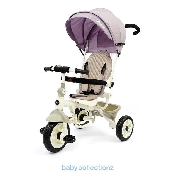 2 In 1 Stylish Tricycle With Sun Shade & Handler - Salomon