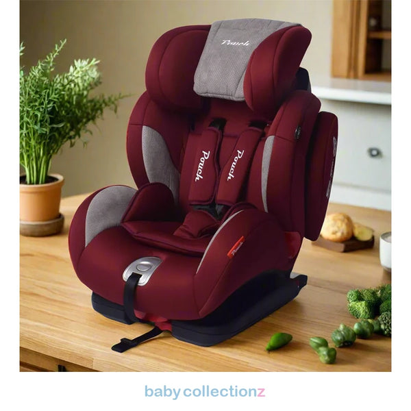 Premium Adjustable Kids Car Seat - Pouch