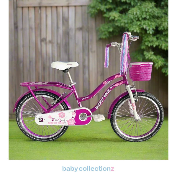 Stylish Bicycle 20 inches With Basket