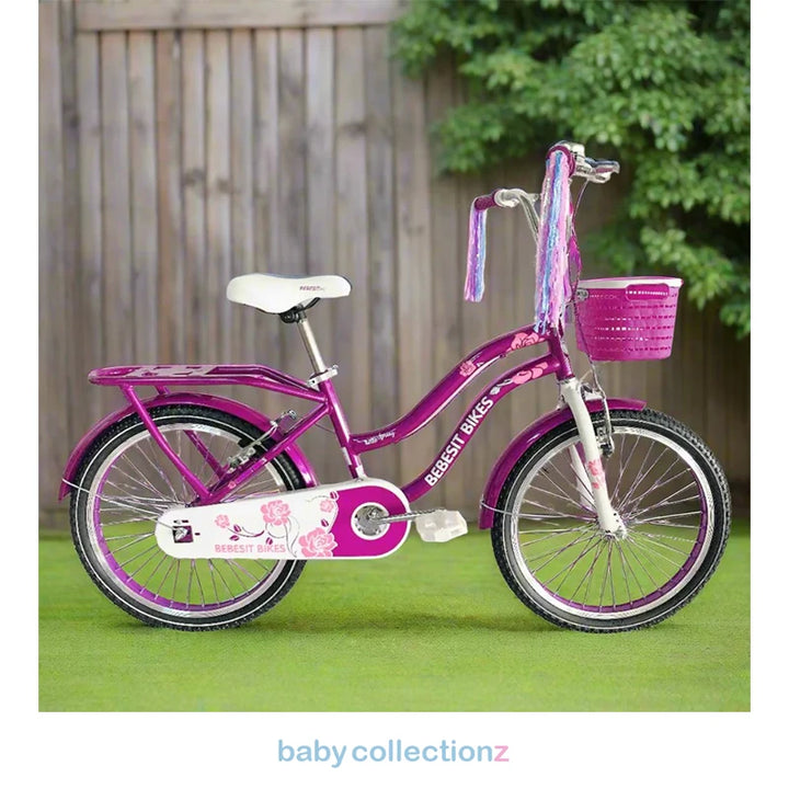 Stylish Bicycle 20 inches With Basket