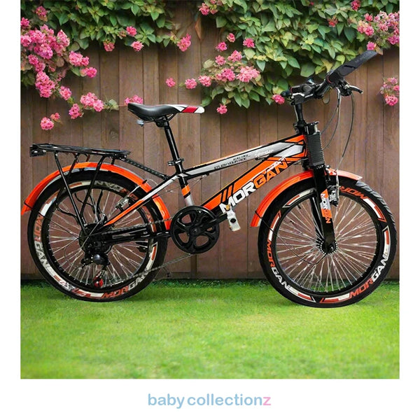 Stylish 20-Inch Bicycle In Red