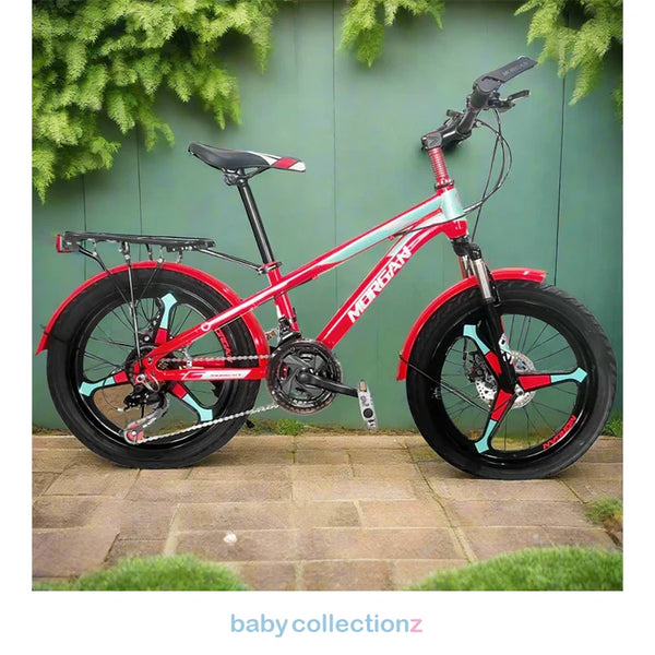 Stylish 20-Inch Bicycle